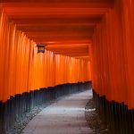 京都の幻想的風景