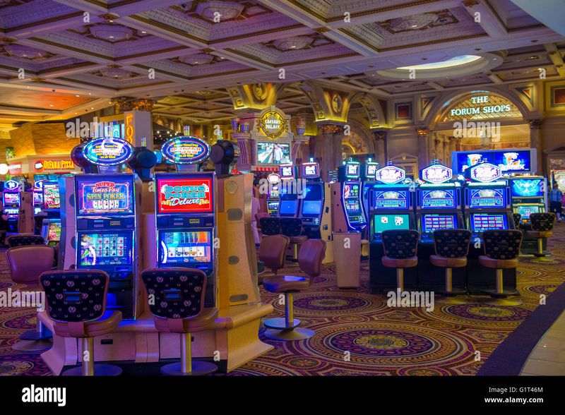 Rooster Bet Casino Review 2026