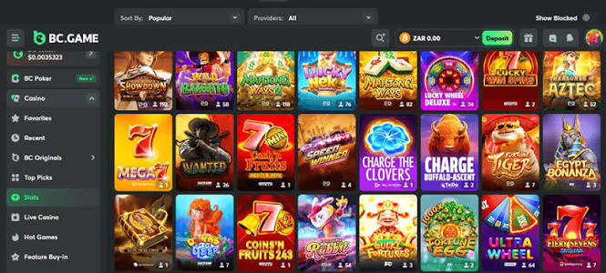 Exploring the BC.Game App The Future of Online Gaming